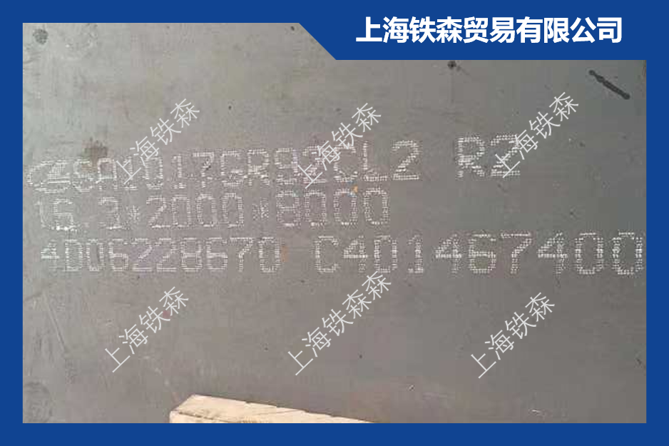 SA1017GR92CL2 / P92钢板